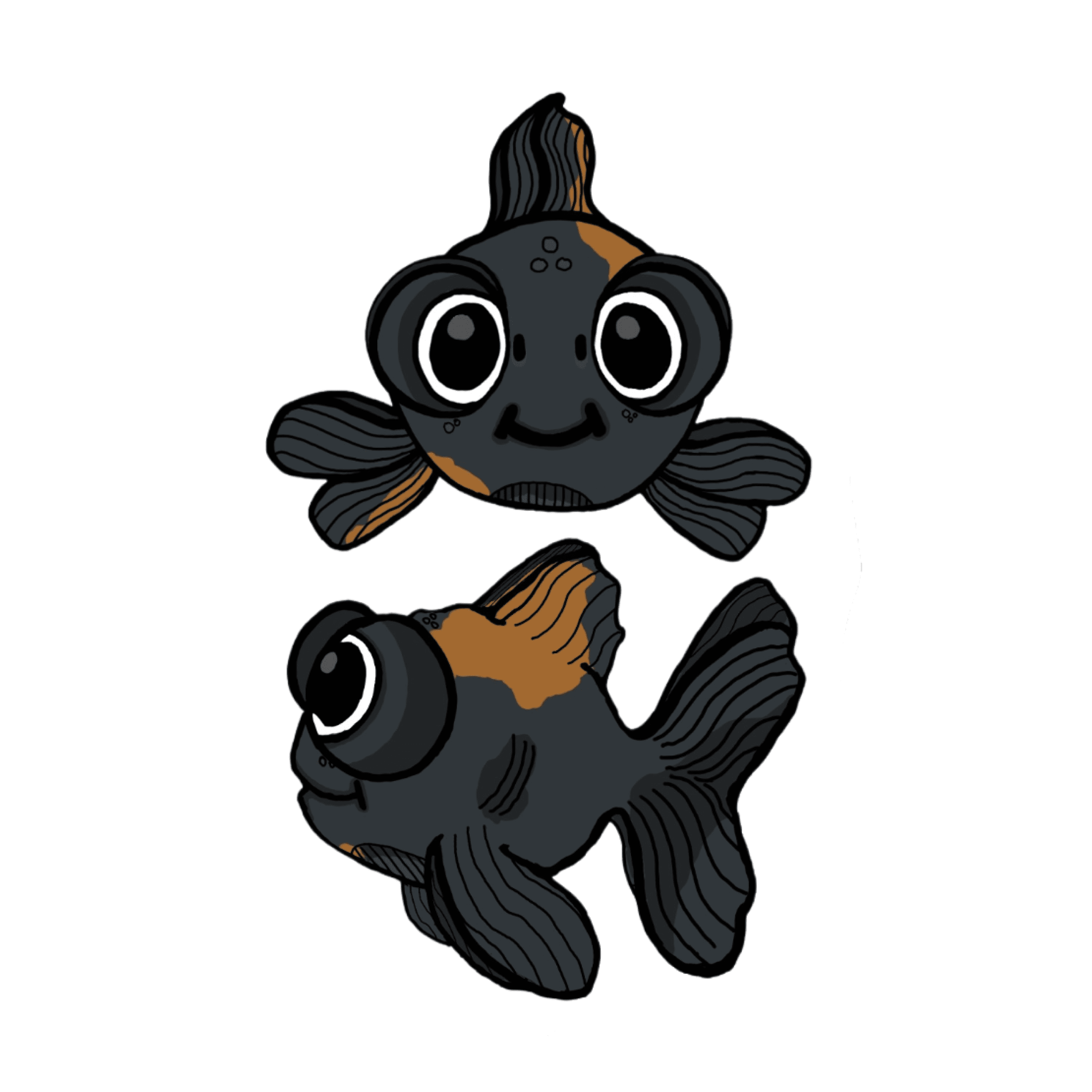 Bubbly the Black Monkfish