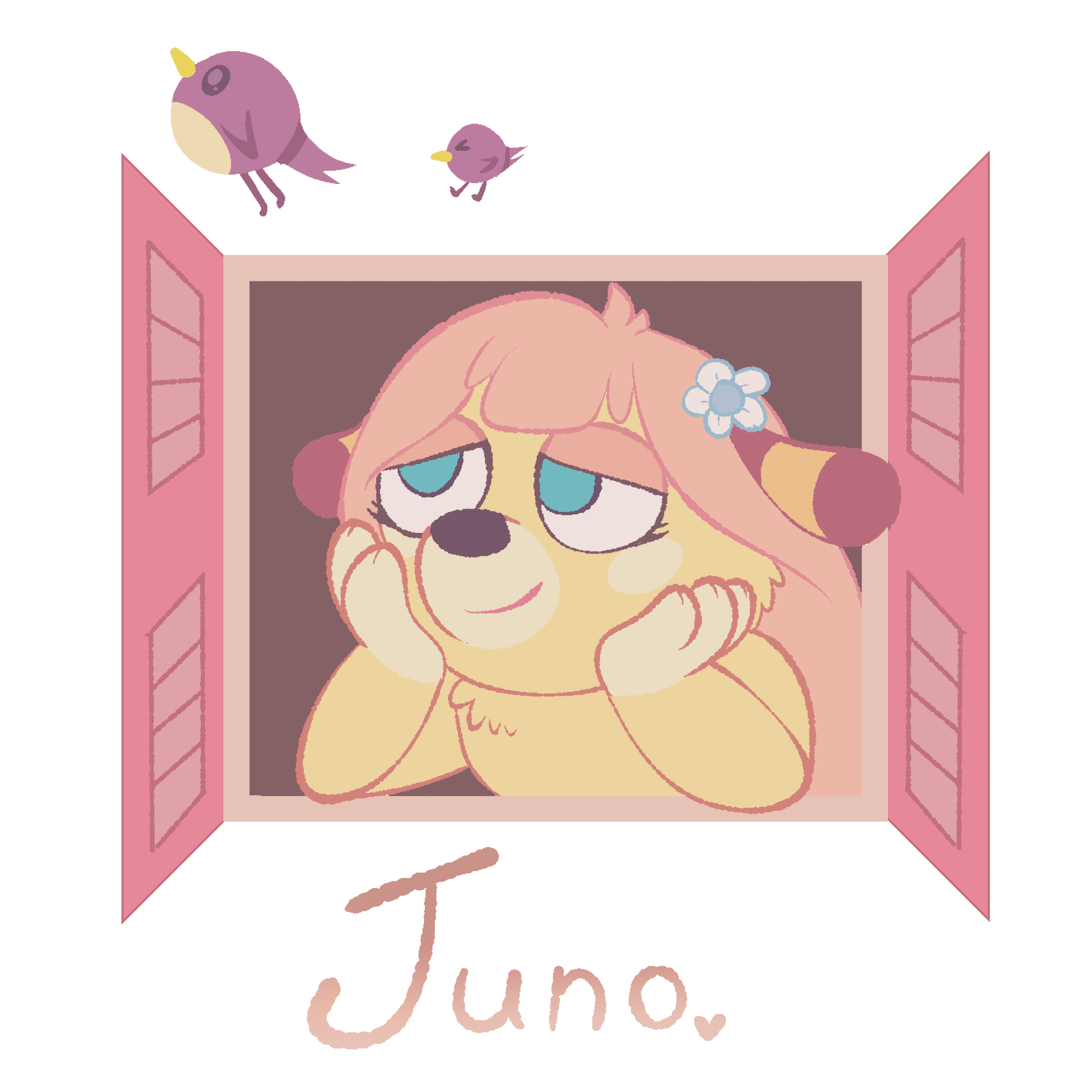 JUNO WINDOW